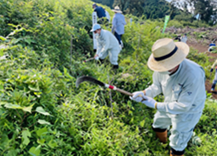 植林活動